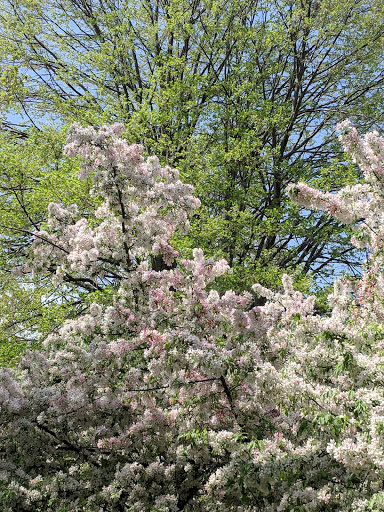 Park «Waterfront Promenade Park», reviews and photos, 22 Merrimac St, Newburyport, MA 01950, USA