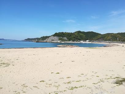 南紀熊野ジオパーク 荒船海岸