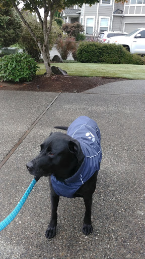 Pet Supply Store «Paddywack», reviews and photos, 15407 Main St #101, Bothell, WA 98012, USA