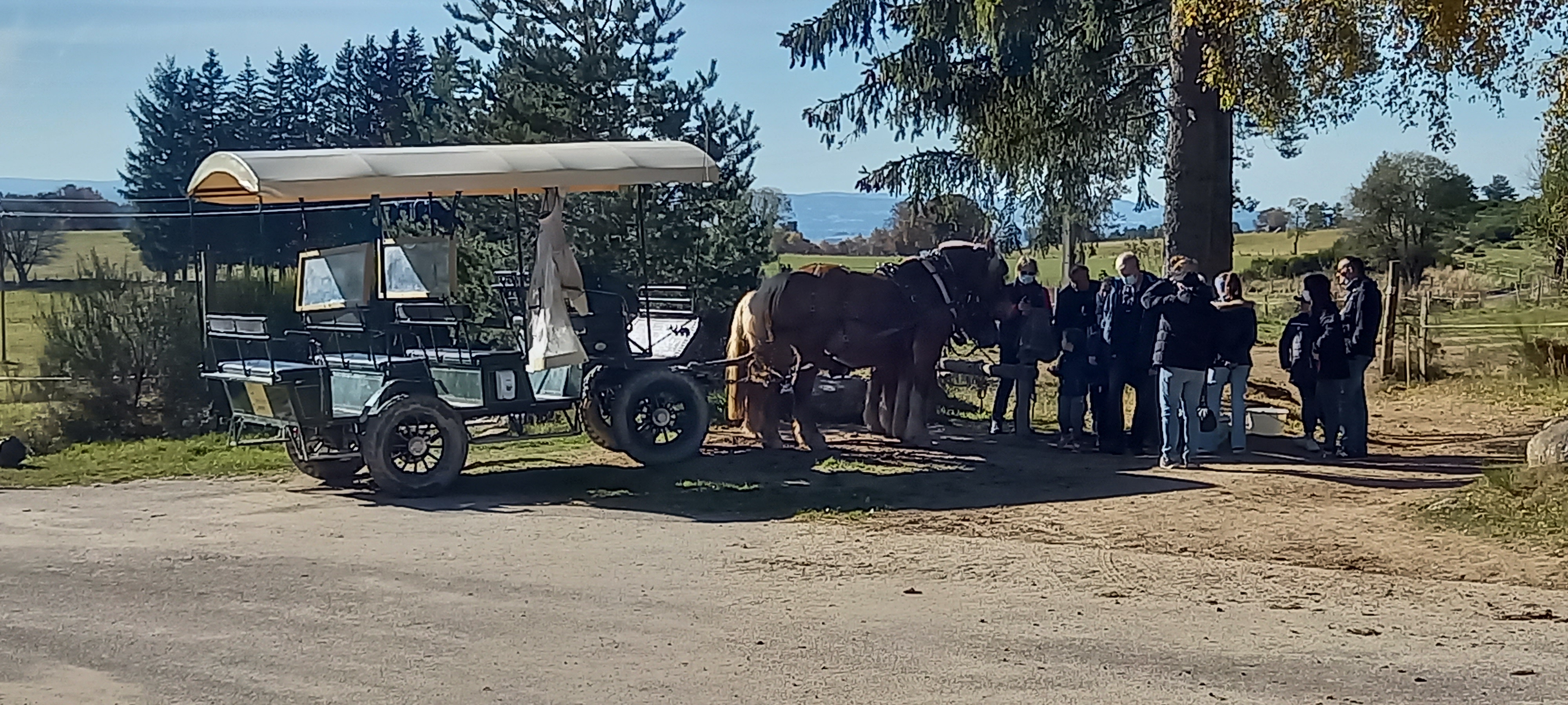 Photo n° 1 de l'avis de Patrick.u fait le 01/11/2021 à 19:12