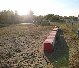 Hundewiese III Tempelhofer Feld photo