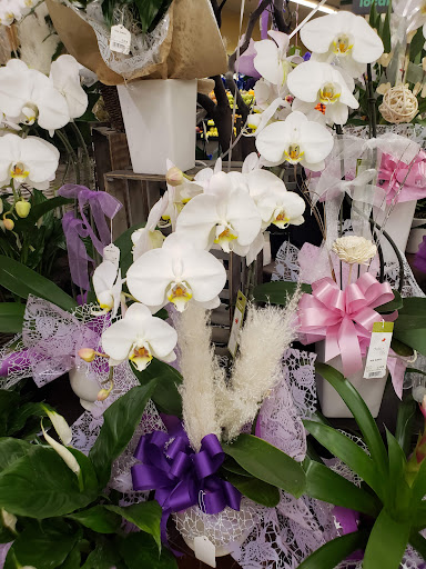 Grocery Store «Vons», reviews and photos, 550 E Baseline Rd, Claremont, CA 91711, USA