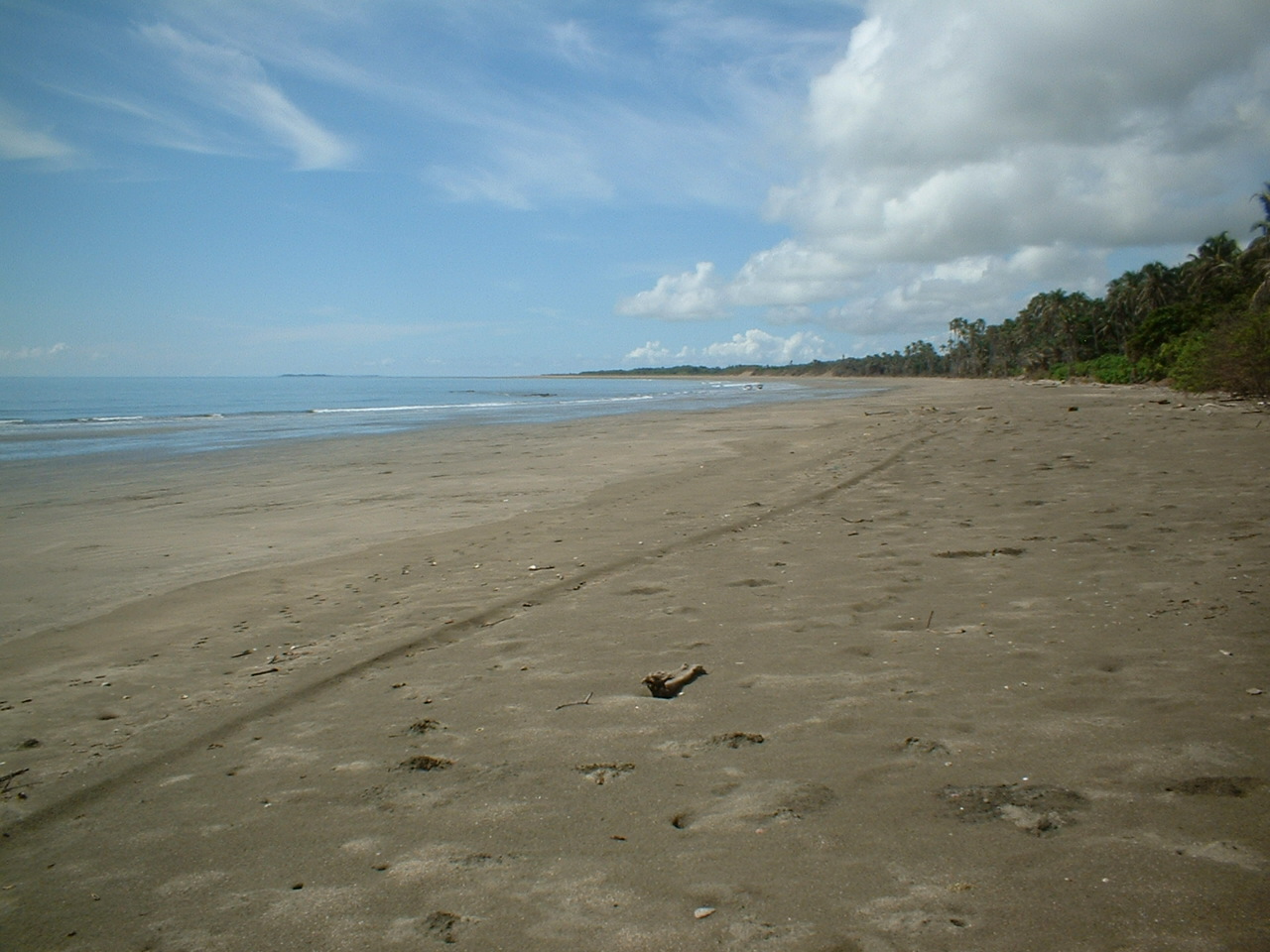 Foto av Candelaria Beach med blått vatten yta