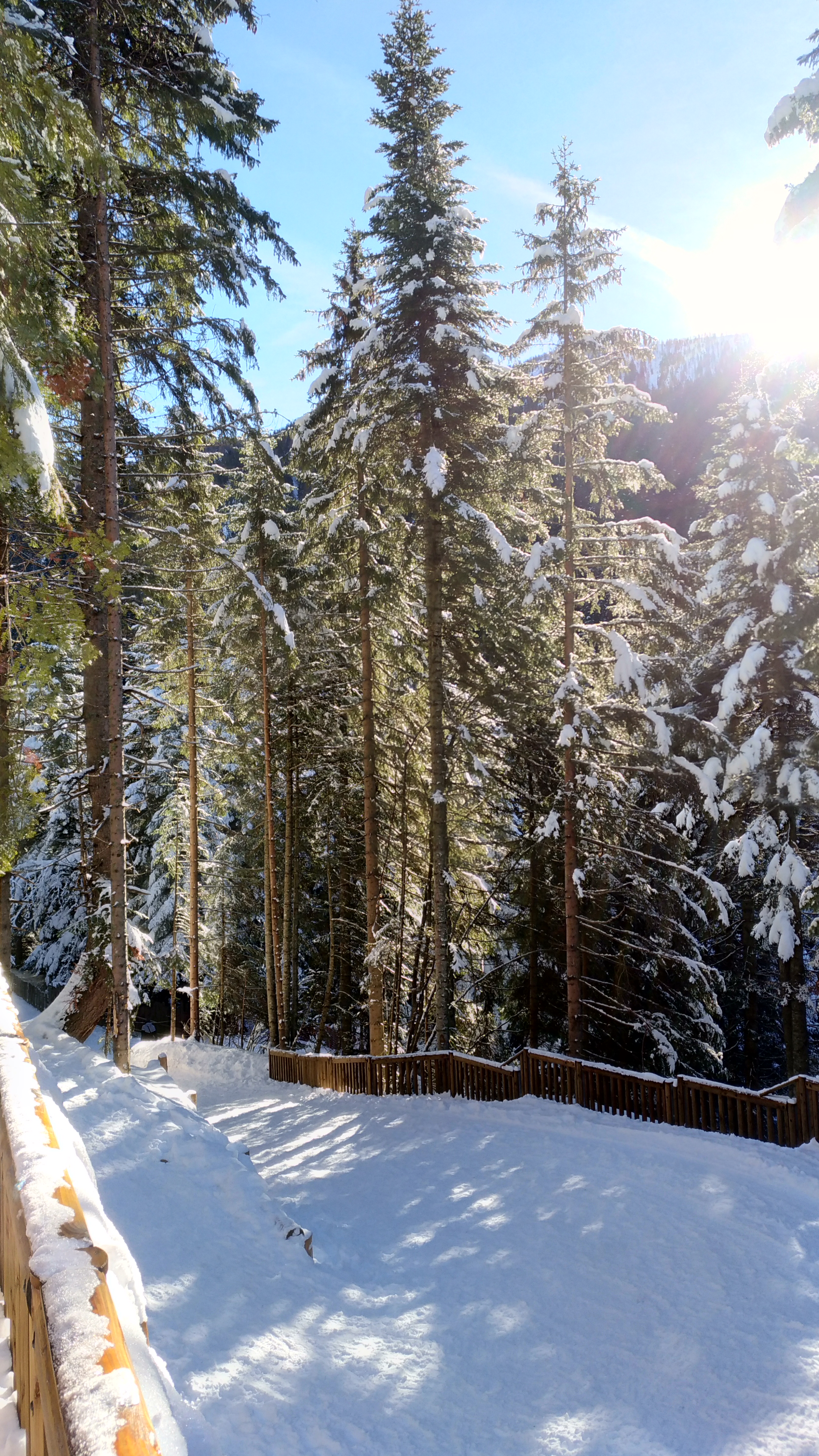 Photo n° 8 de l'avis de Laurent.i fait le 30/01/2018 à 08:30