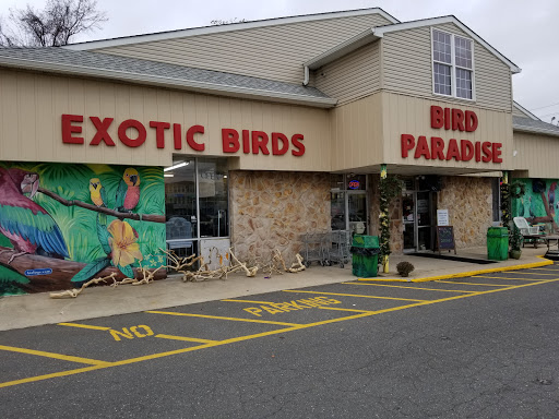 Bird Paradise