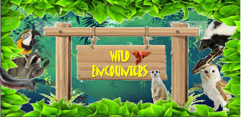 Wild Encounters Mini Zoo