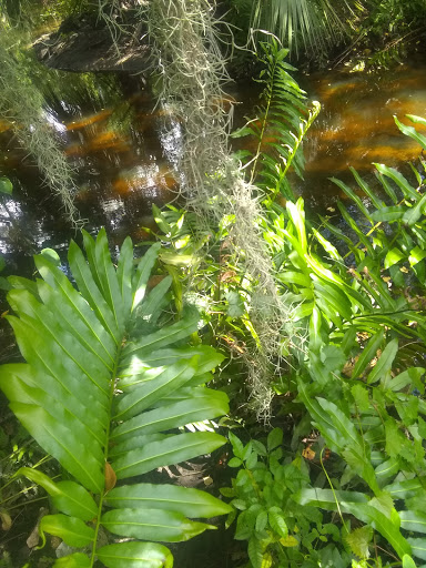 Shopping Mall «College Plaza Shopping Center», reviews and photos, 8595 College Pkwy, Fort Myers, FL 33907, USA