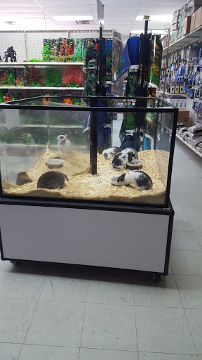 Pet Store «Inland Reef Pet Store», reviews and photos, 817 Cross Lanes Dr, Cross Lanes, WV 25313, USA