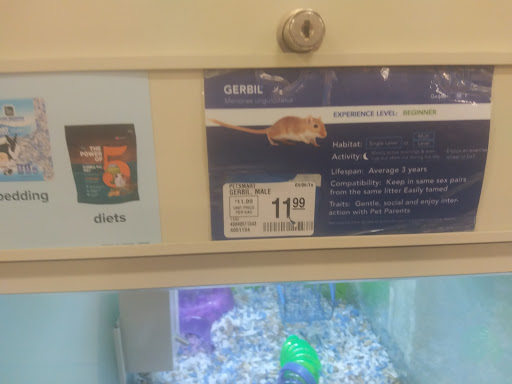 Pet Supply Store «PetSmart», reviews and photos, 1116 S Rochester Rd, Rochester Hills, MI 48307, USA
