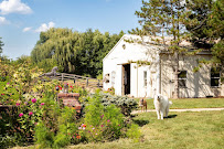 Mary Must Love Dogs - Photo 6 - Car repair in Zionsville, IN, Indianapolis