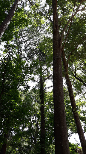 Park «Park», reviews and photos, 616 10th Ave S, Surfside Beach, SC 29575, USA