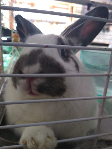 Park «Martha Lafite Thompson Nature Sanctuary», reviews and photos, 407 N La Frenz Rd, Liberty, MO 64068, USA