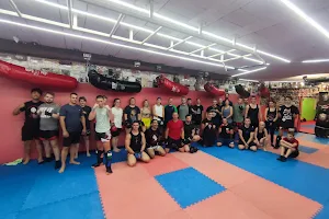 Ronin Fight Academy image