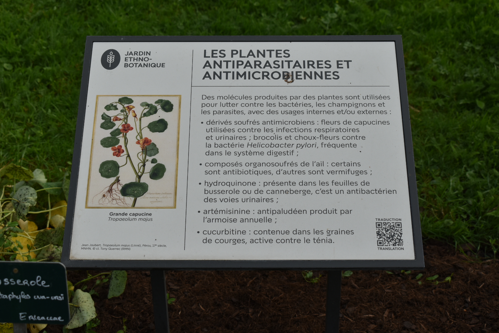 Photo n° 29 de l'avis de ATMANI.i fait le 17/10/2023 à 20:13