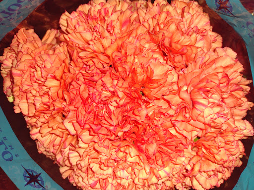 Wholesale Florist «Travis Wholesale Florists», reviews and photos, 240 W Josephine St, San Antonio, TX 78212, USA