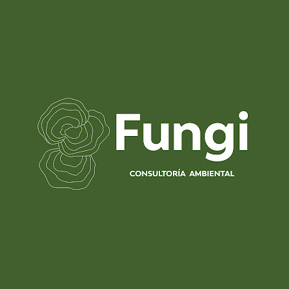 Fungi Consultores