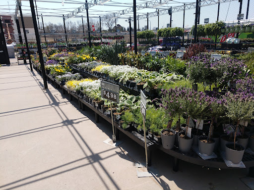 Department Store «Walmart Supercenter», reviews and photos, 1882 Holly St, Blair, NE 68008, USA