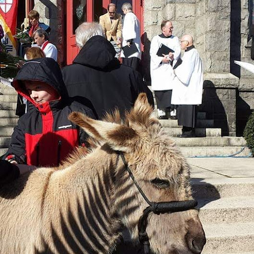 Pony Ride Service «Animals Unlimited LLC est 1996 travelling petting zoo/pony rides/travelling exotic animal programs .», reviews and photos, 16805 Mountain Rd, Montpelier, VA 23192, USA