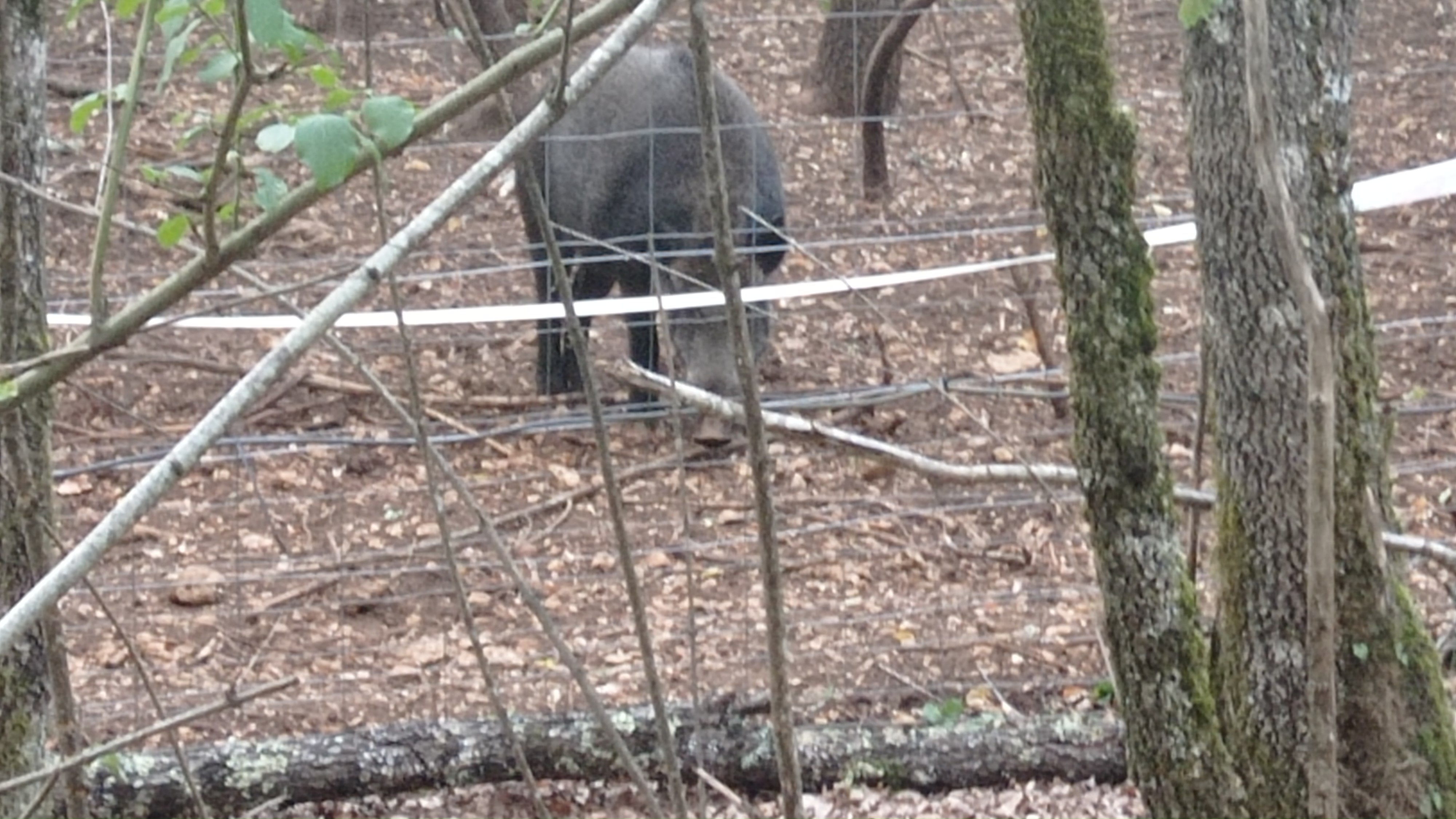 Photo n° 9 de l'avis de alain.o fait le 23/08/2022 à 08:56