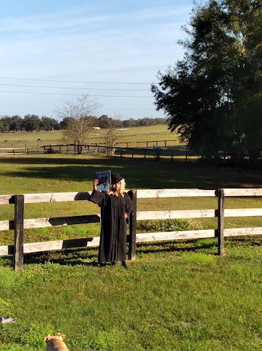 LA SIRENA ON TOP HORSE BOARDING