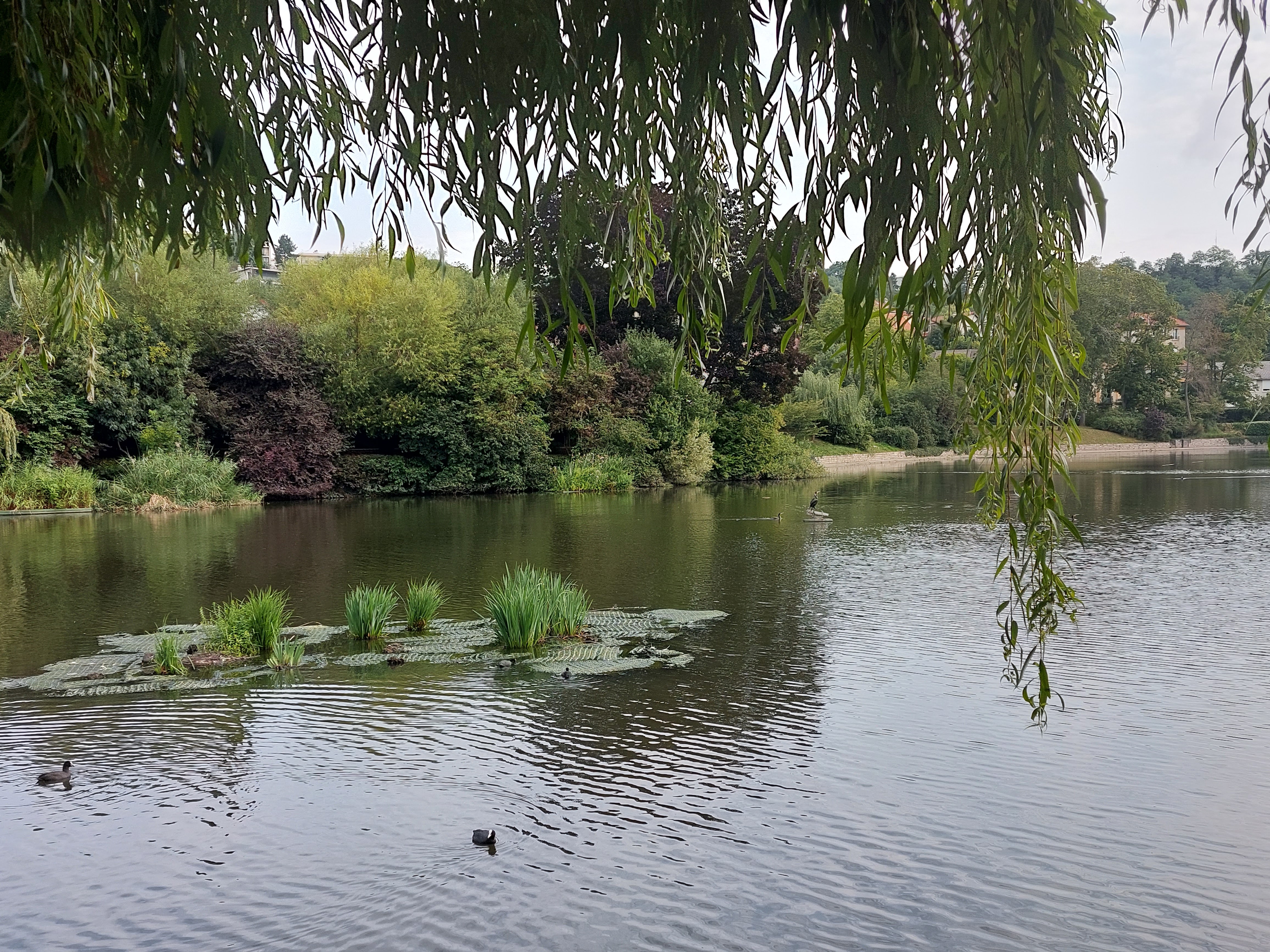 Photo n° 1 de l'avis de Lana. fait le 09/12/2016 à 17:35