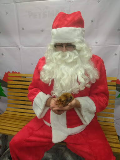 Pet Supply Store «PetSmart», reviews and photos, 4200 Derry St, Harrisburg, PA 17111, USA