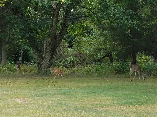 Public Golf Course «Bunker Hill Golf Course», reviews and photos, 220 Bunker Hill Rd, Princeton, NJ 08540, USA
