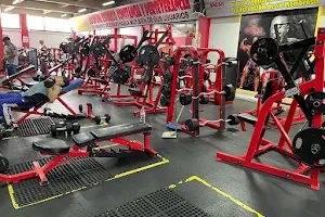 Legion Spartan Gym image