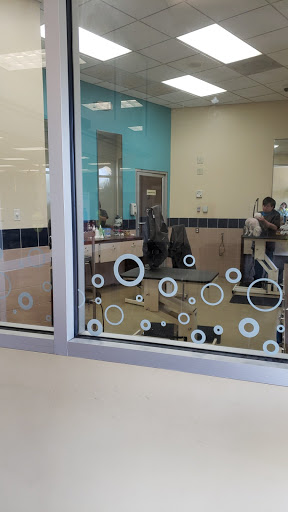 Pet Supply Store «Pet Supplies Plus», reviews and photos, 11054 Lee Hwy, Fairfax, VA 22030, USA