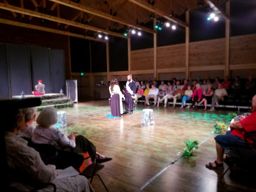 Arts Organization «HART Theatre», reviews and photos, 250 Pigeon St, Waynesville, NC 28786, USA