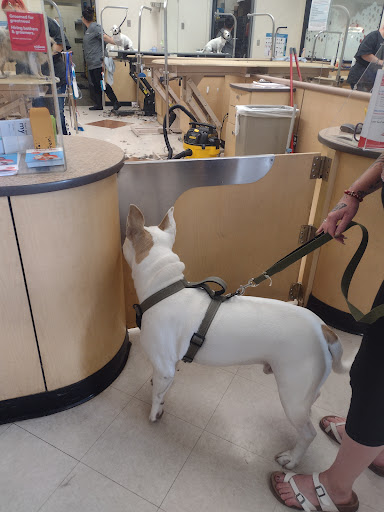 Pet Supply Store «PetSmart», reviews and photos, 1403 E Washington Ave, Union Gap, WA 98903, USA