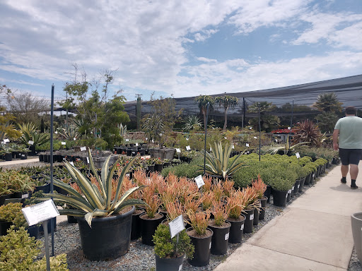 Terra Bella Nursery, Inc. image