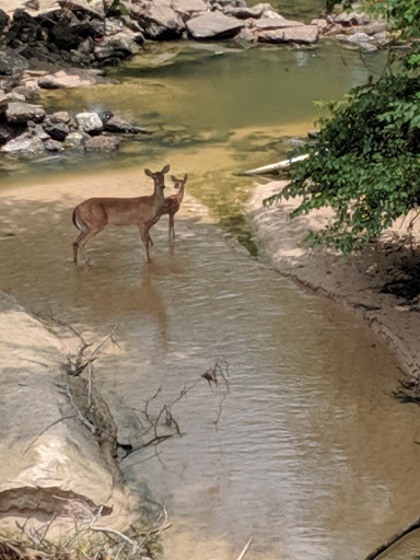 Golf Club «Longwood Golf Club», reviews and photos, 13300 Longwood Trace Dr, Cypress, TX 77429, USA