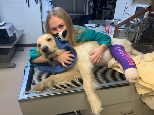 Green Meadow Veterinary Hospital image