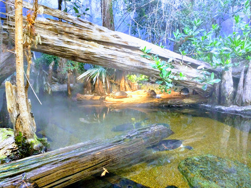 Aquarium «Tennessee Aquarium», reviews and photos, 1 Broad St, Chattanooga, TN 37402, USA