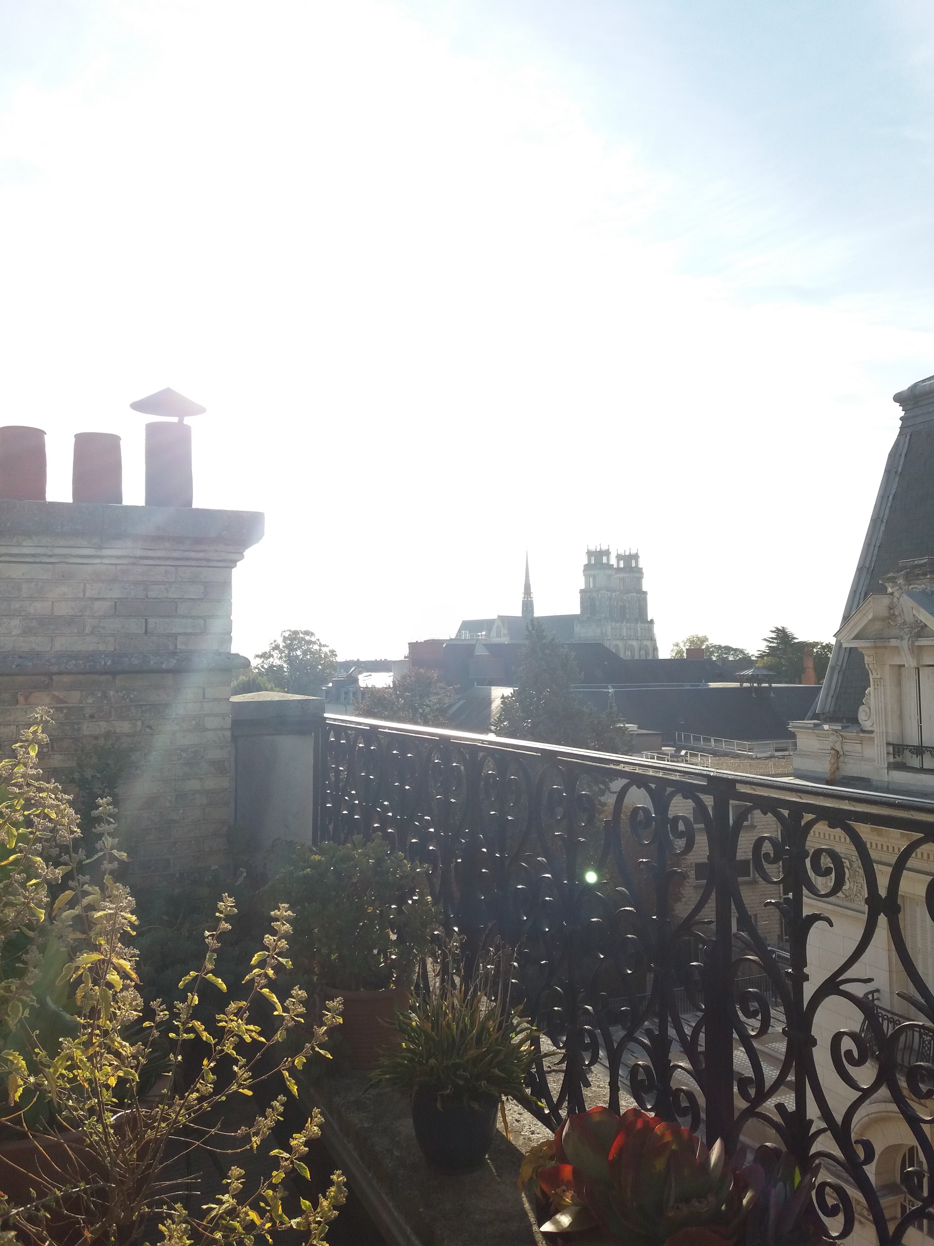 Photo n° 5 de l'avis de Angy. fait le 17/10/2021 à 11:53