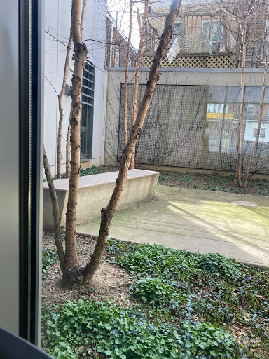 Legal Services «Community Legal Service», reviews and photos