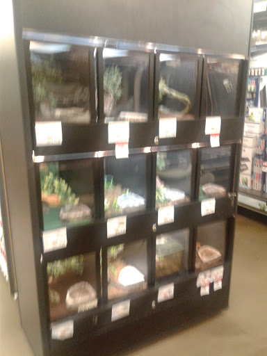 Pet Supply Store «Pet Supplies Plus», reviews and photos, 1030 Main St #10, Waltham, MA 02451, USA