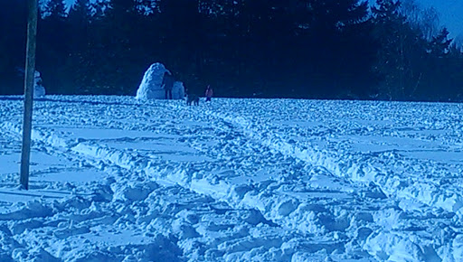 Park «Albert Kelly Park», reviews and photos, SW Dosch Rd & SW Mitchell St, Portland, OR 97239, USA