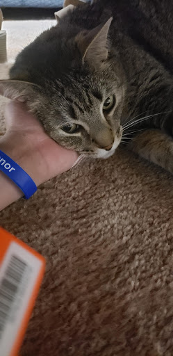 Pet Supply Store «Pet Supplies Plus», reviews and photos, 209 Towne Dr, Elizabethtown, KY 42701, USA