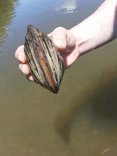 Canoe & Kayak Store «White River Canoe Company», reviews and photos, 17180 River Rd, Noblesville, IN 46060, USA