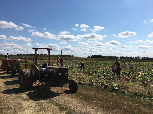 Festival «Temple Hall Fall Festival & Corn Maize», reviews and photos, 15855 Limestone School Rd, Leesburg, VA 20176, USA