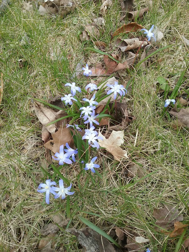 Movie Rental Store «Family Video», reviews and photos, 3604 N Main St, Dayton, OH 45405, USA
