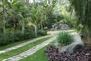 Mazhar Botanic Garden image