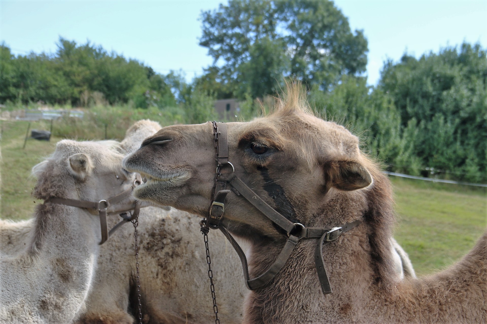 Photo n° 14 de l'avis de Patrice.o fait le 18/08/2023 à 18:06