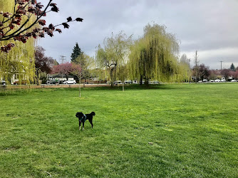 Douglas Park Outdoor Fitness Circuit