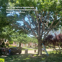 J & S Tree Service & Landscape - Photo 5 - Car repair in , Modesto