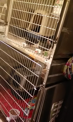 Pet Supply Store «PetSmart», reviews and photos, 3033 NY-50, Saratoga Springs, NY 12866, USA