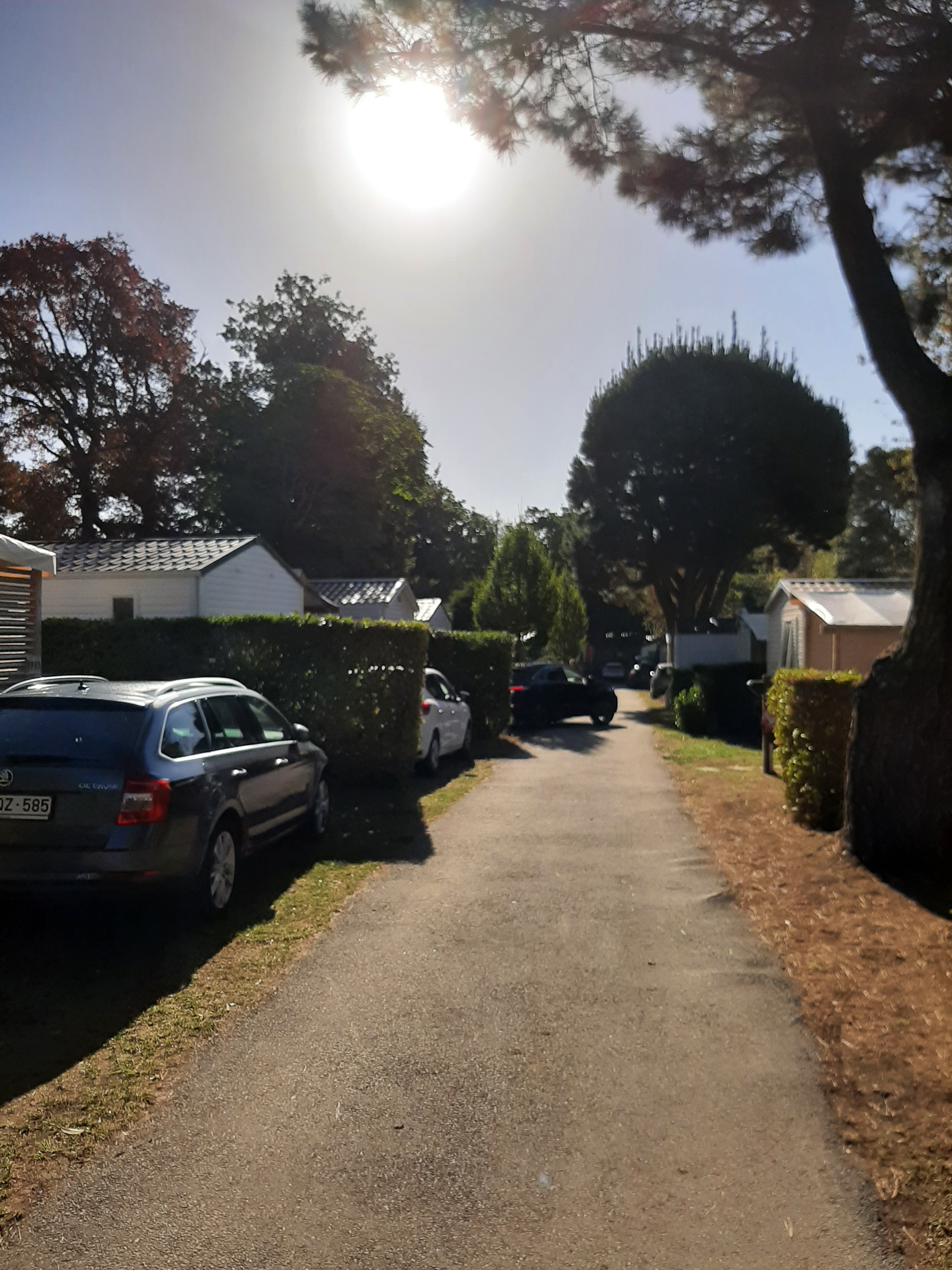 Photo n° 33 de l'avis de Gilles.a fait le 21/08/2022 à 10:46