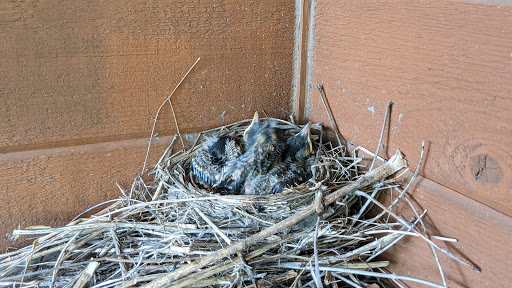 Visitor Center «Effigy Mounds National Monument Visitor Center», reviews and photos, 151 IA-76, Harpers Ferry, IA 52146, USA